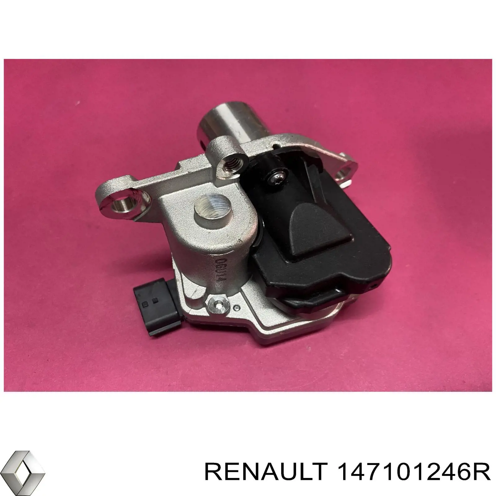 Válvula de derivación EGR Renault (RVI) 147101246R precio, desde 84,22 EUR