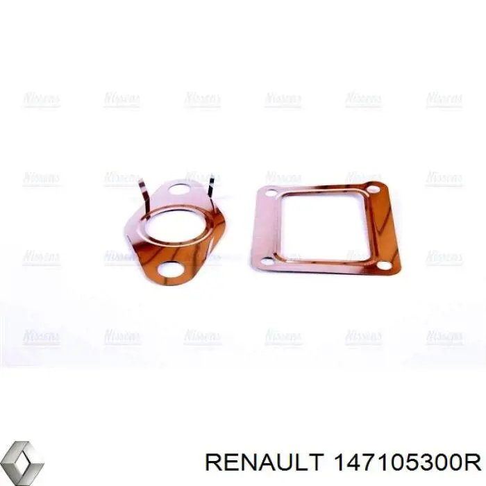 147105300R Renault (RVI) Válvula EGR