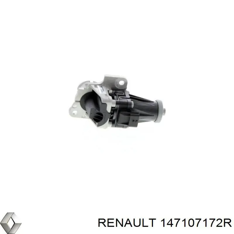 147107172R Renault (RVI) Válvula EGR