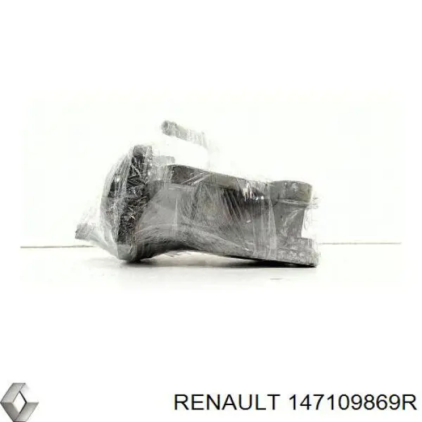 147109869R Renault (RVI) Válvula EGR