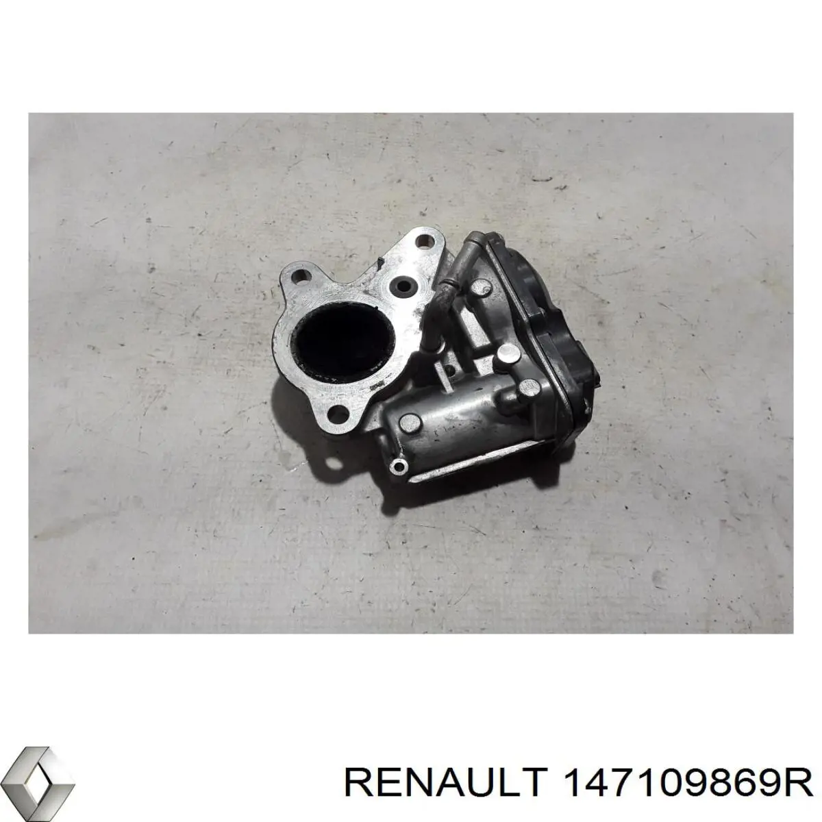 Comprar 147109869R Renault (RVI) Válvula EGR