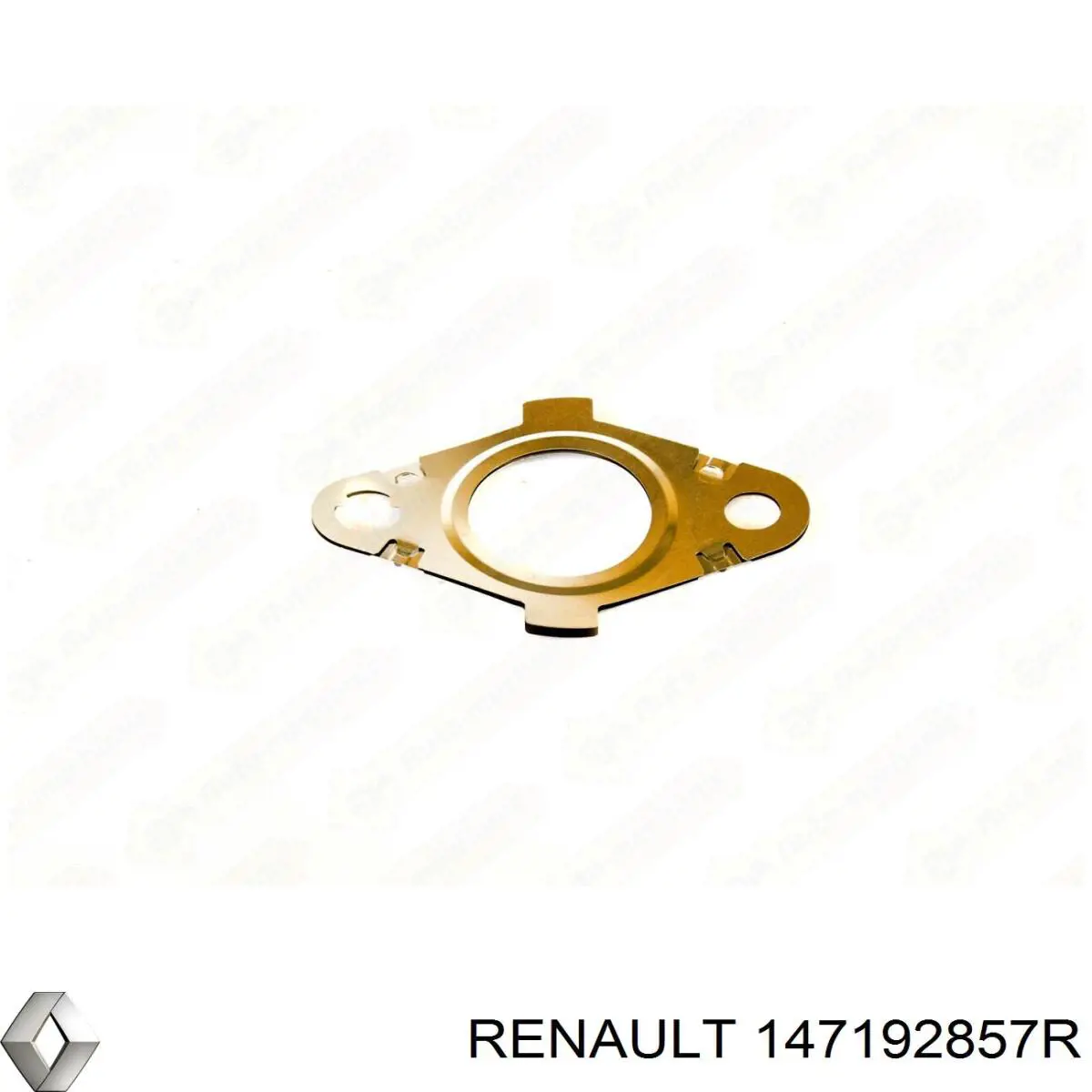 Junta de tubería EGR a la culata Renault (RVI) 147192857R precio, desde 5,66 EUR