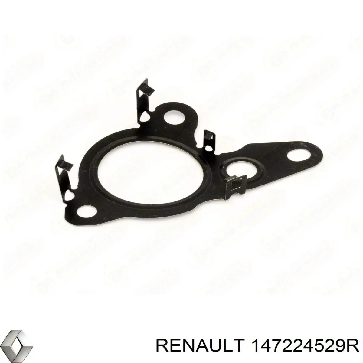 Junta de válvula EGR Renault (RVI) 147224529R precio, desde 13,08 EUR