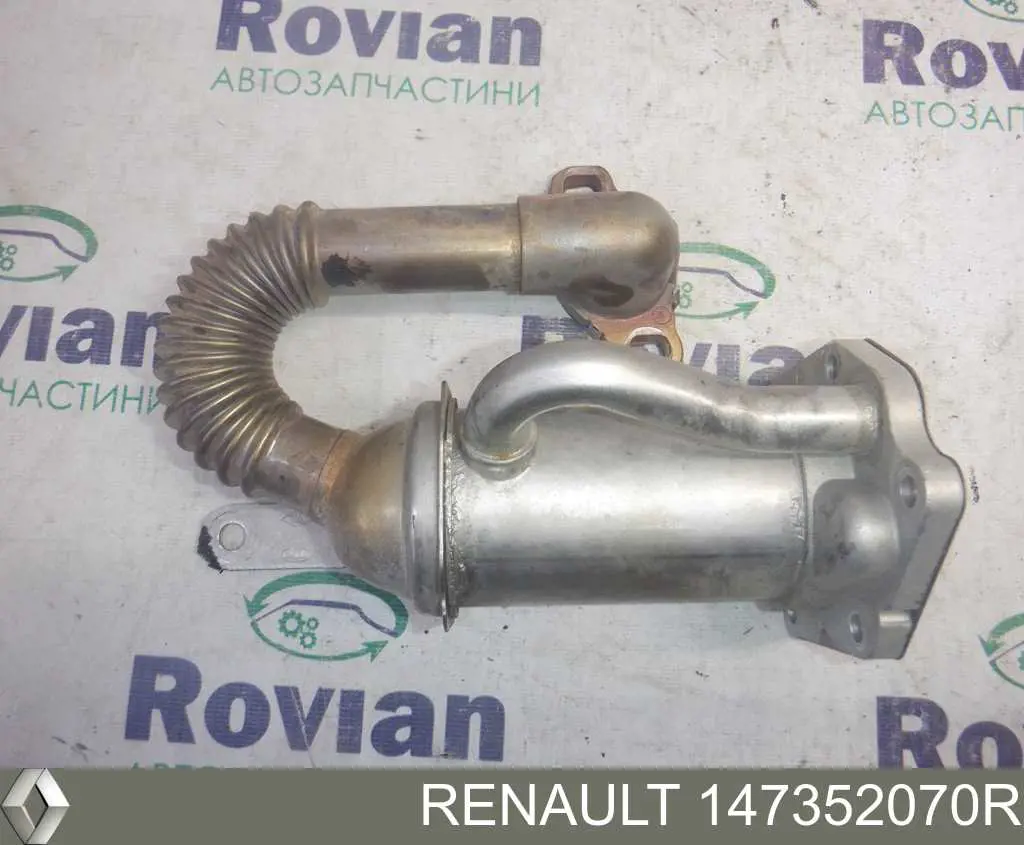 Comprar 147352070R Renault (RVI) Enfriador de recirculación de gases de escape EGR