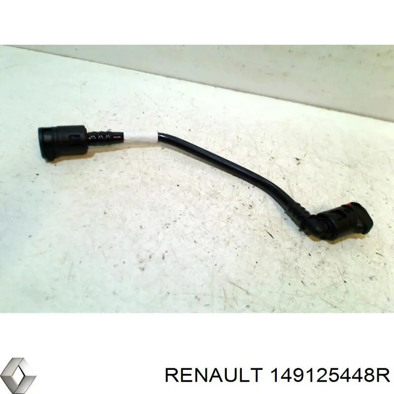 Filtro EVAP Renault (RVI) 149125448R precio, desde  
