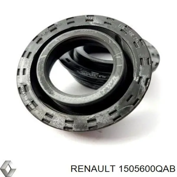 1505600QAB Renault (RVI) junta anular, cavidad bujía