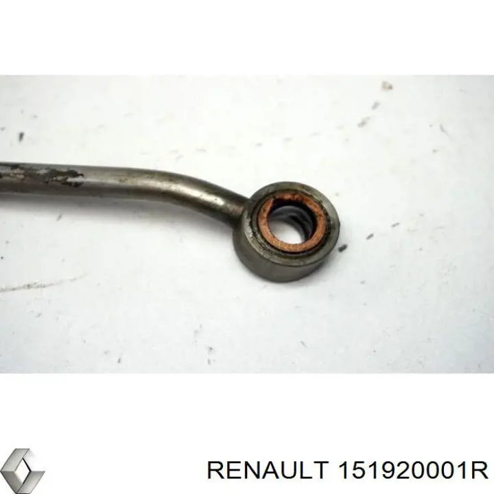 151920001R Renault (RVI)