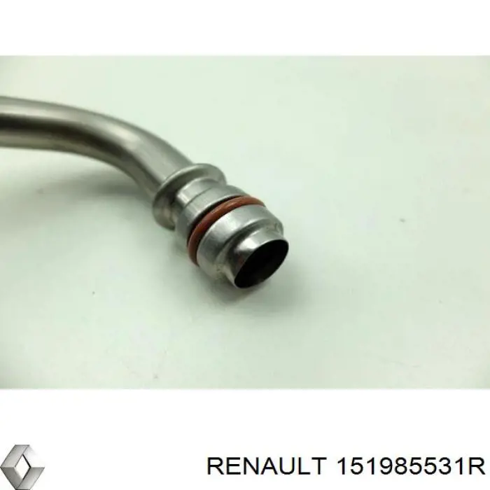Comprar 151985531R Renault (RVI) Tubo de drenaje de aceite de turbocompresor