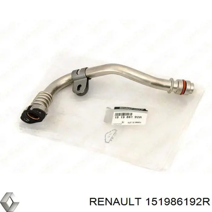 Comprar 151986192R Renault (RVI) 