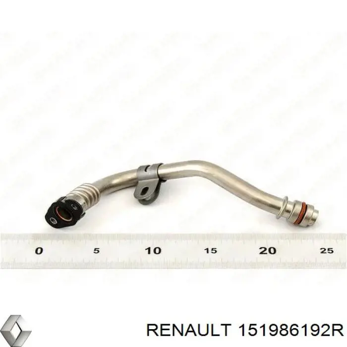 151986192R Renault (RVI)