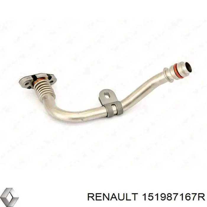 Tubo de drenaje de aceite de turbocompresor 151987167R Renault (RVI)