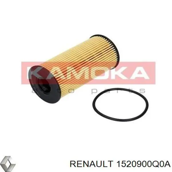 1520900Q0A Renault (RVI) filtro de aceite