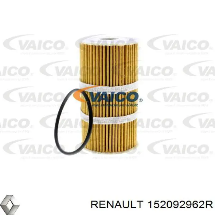 Filtro de aceite motor Renault (RVI) 152092962R