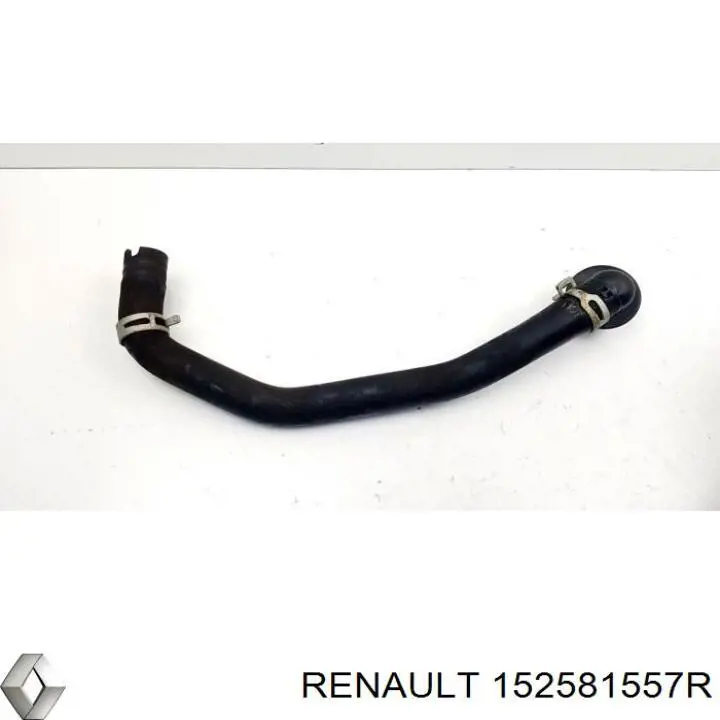  Renault (RVI) 152581557R precio, desde 93,28 EUR