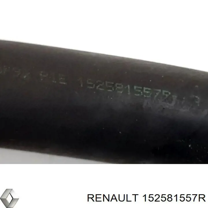 152581557R Renault (RVI)