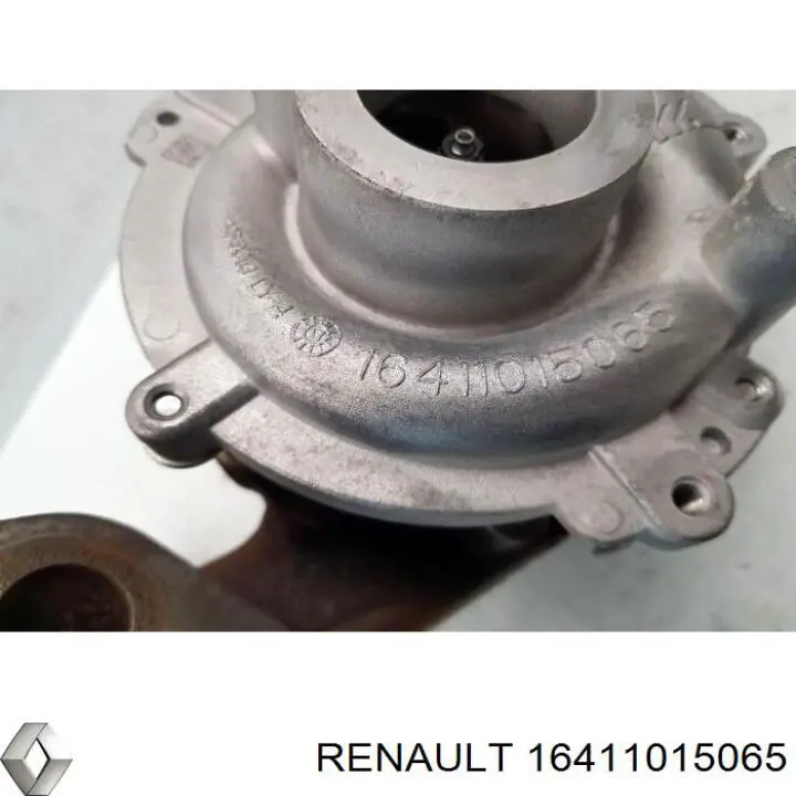 16411015065 Renault (RVI)