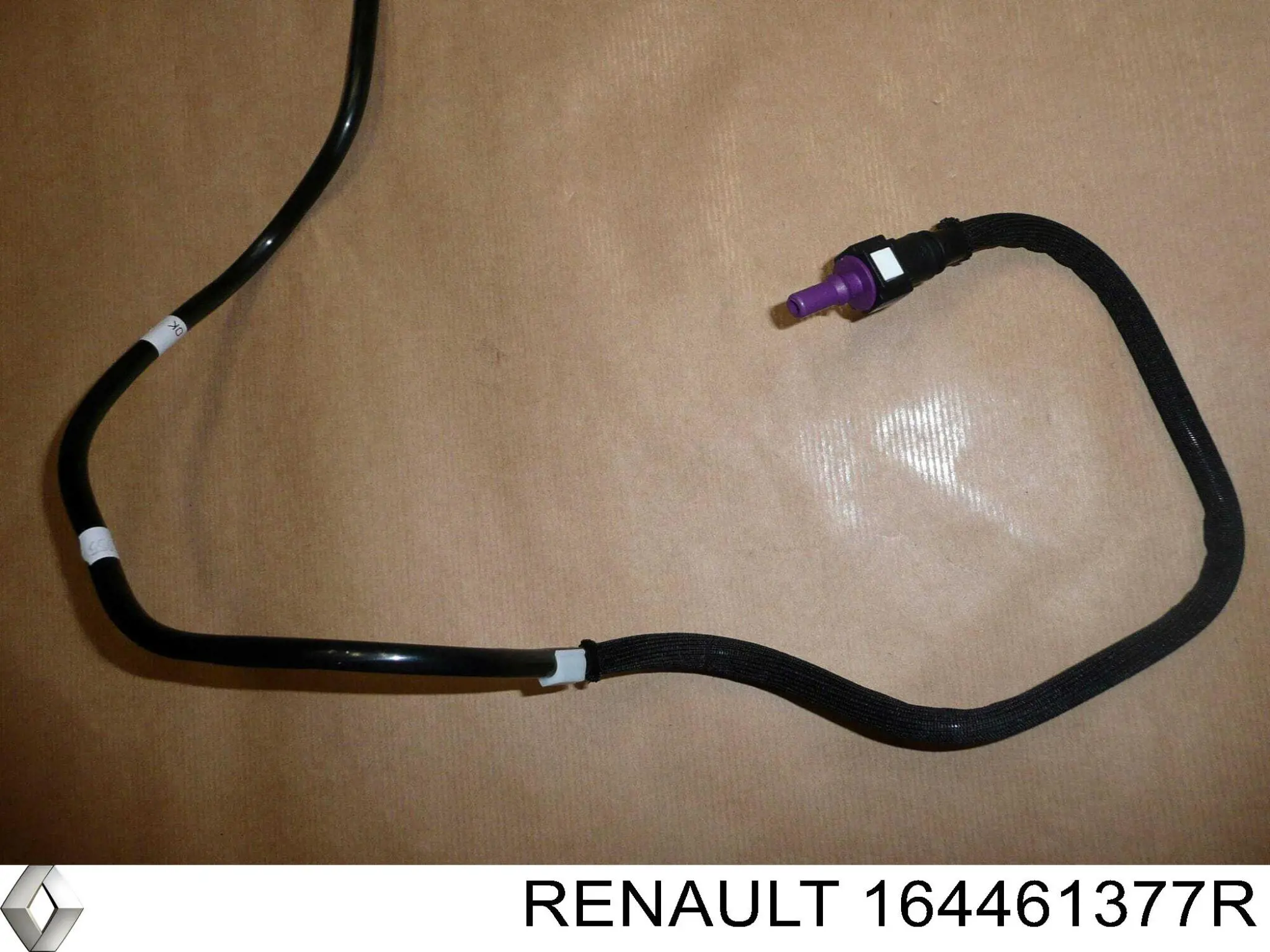  Renault (RVI) 164461377R precio, desde 65,53 EUR
