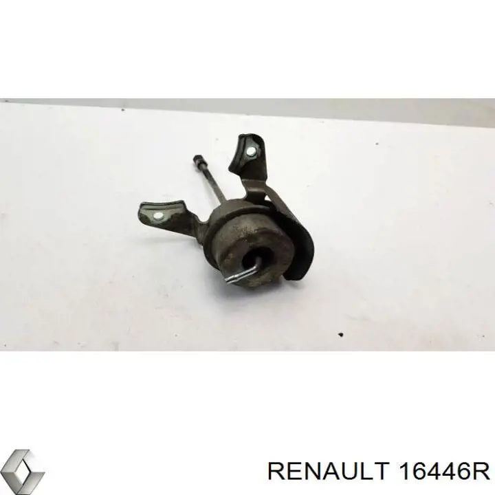 16446R Renault (RVI)