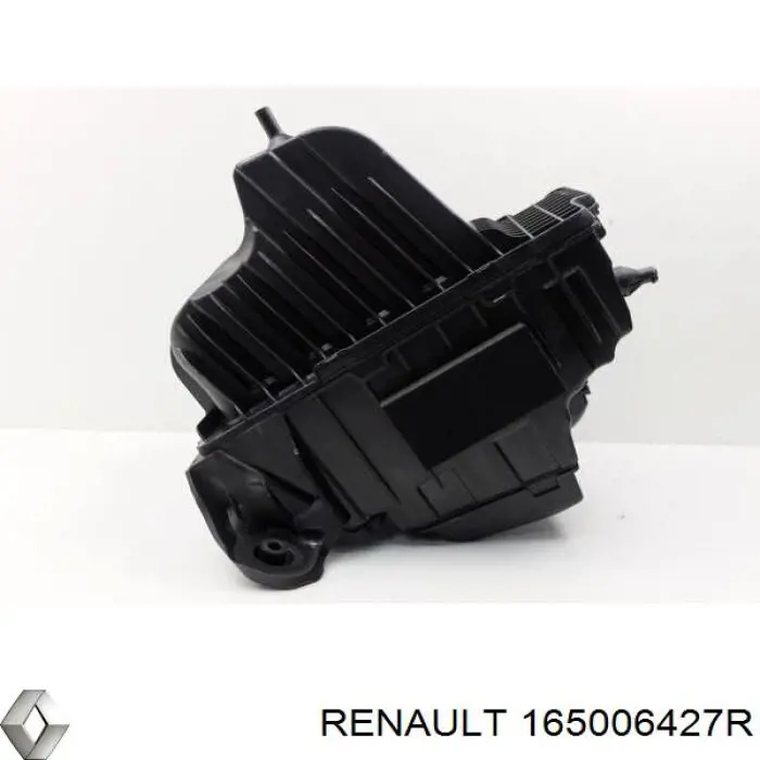 Casco de filtro de aire RENAULT 165006427R