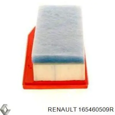 165460509R Renault (RVI) filtro de aire