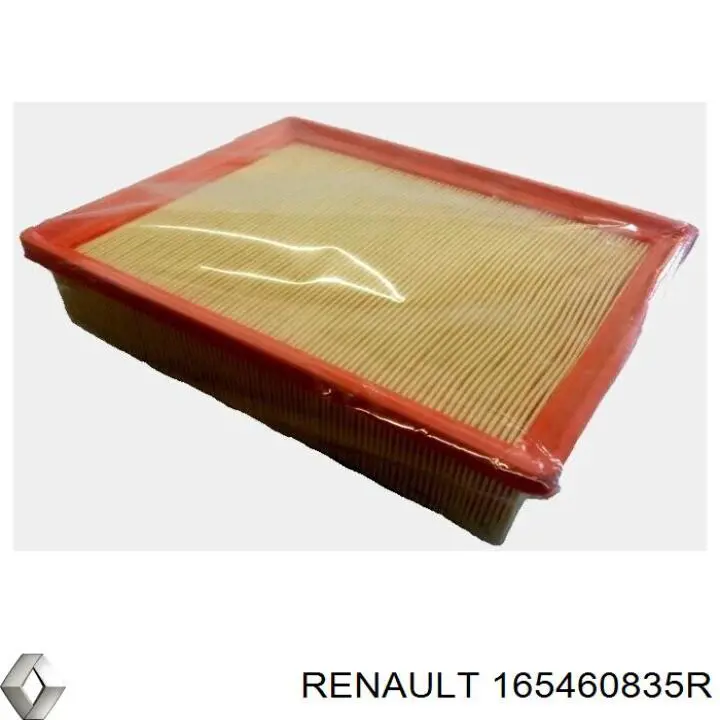 Filtro de aire 165460835R Renault (RVI)