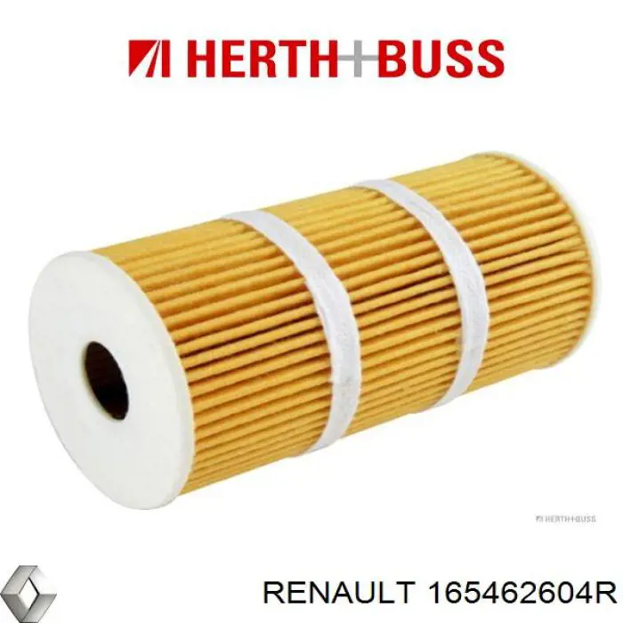 Filtro aire Renault (RVI) 165462604R