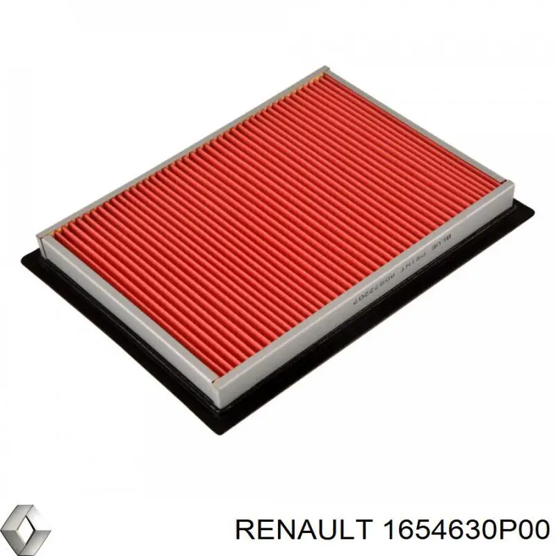 1654630P00 Renault (RVI) filtro de aire