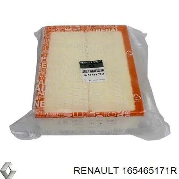 165465171R Renault (RVI) filtro de aire
