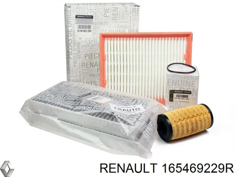 165469229R Renault (RVI) filtro de aire