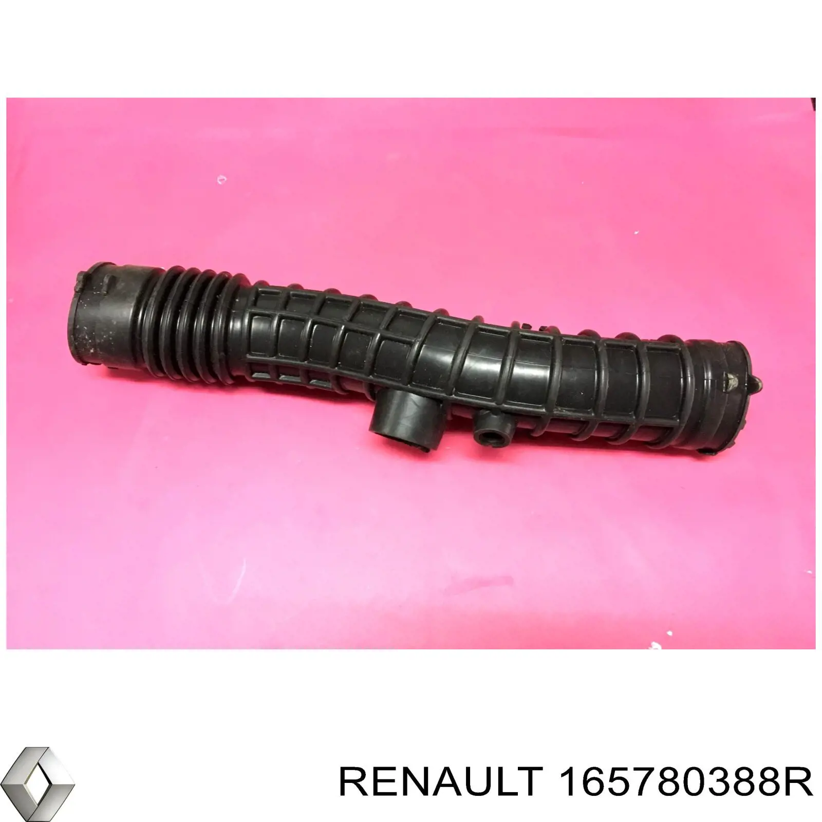 165780388R Renault (RVI)