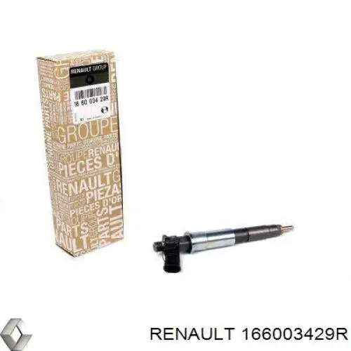 166003429R Renault (RVI) inyector