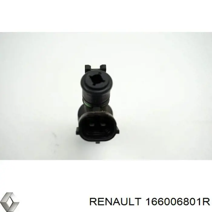 Inyectores Renault (RVI) 166006801R precio, desde 52,43 EUR