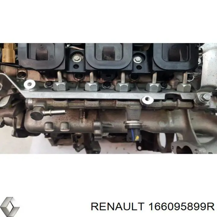 166095899R Renault (RVI)