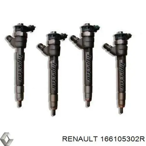 166105302R Renault (RVI) inyector