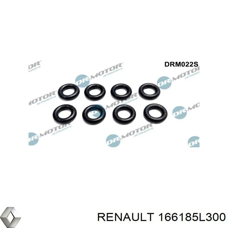 166185L300 Renault (RVI) junta de inyectores