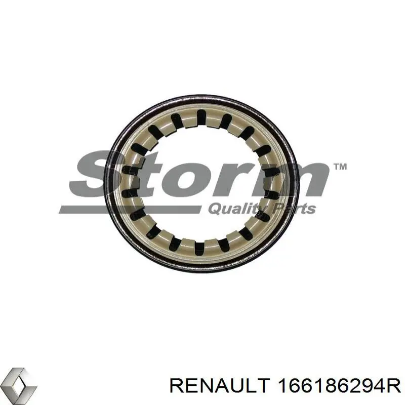 166186294R Renault (RVI)