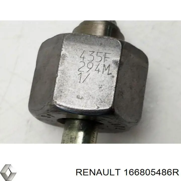 166805486R Renault (RVI)