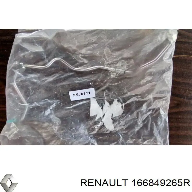  Renault (RVI) 166849265R precio, desde 41,70 EUR