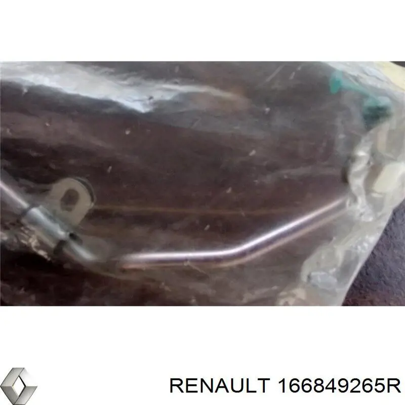 166849265R Renault (RVI)