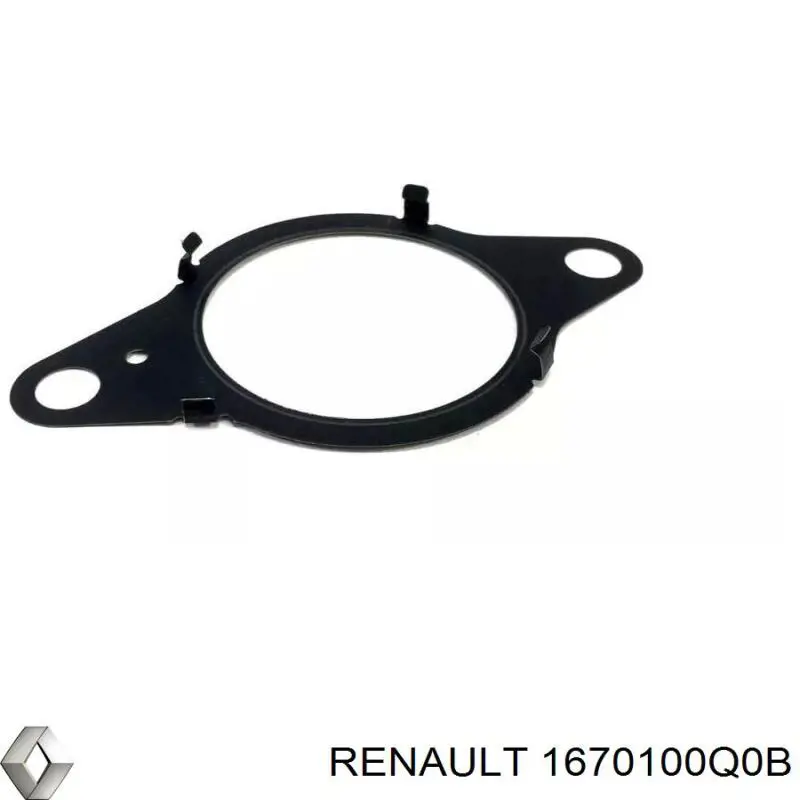 Comprar 1670100Q0B Renault (RVI) Junta de la bomba de inyección de alta presión