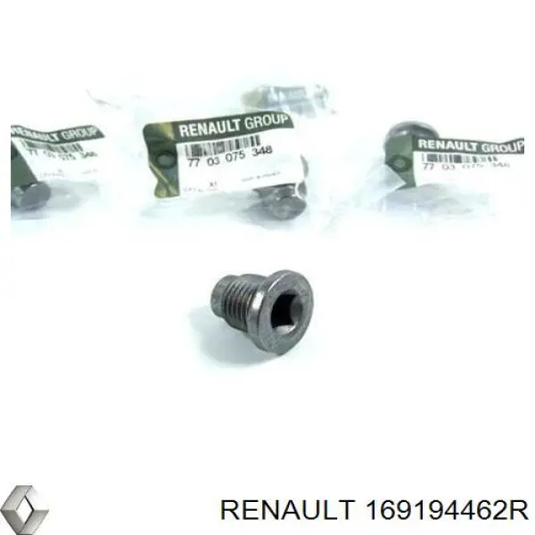 Filtro combustible Renault (RVI) 169194462R precio, desde 24,40 EUR