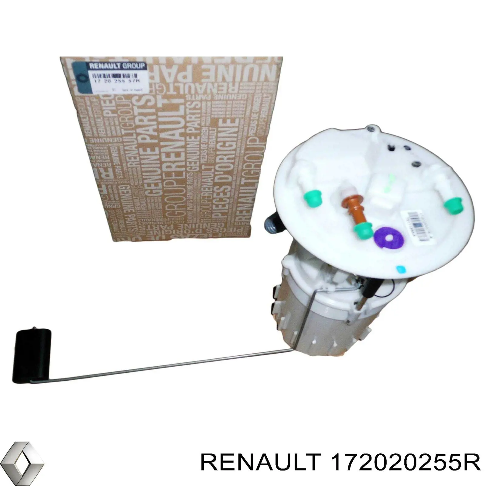 Módulo alimentación de combustible  Renault (RVI) 172020255R precio, desde 110,11 EUR