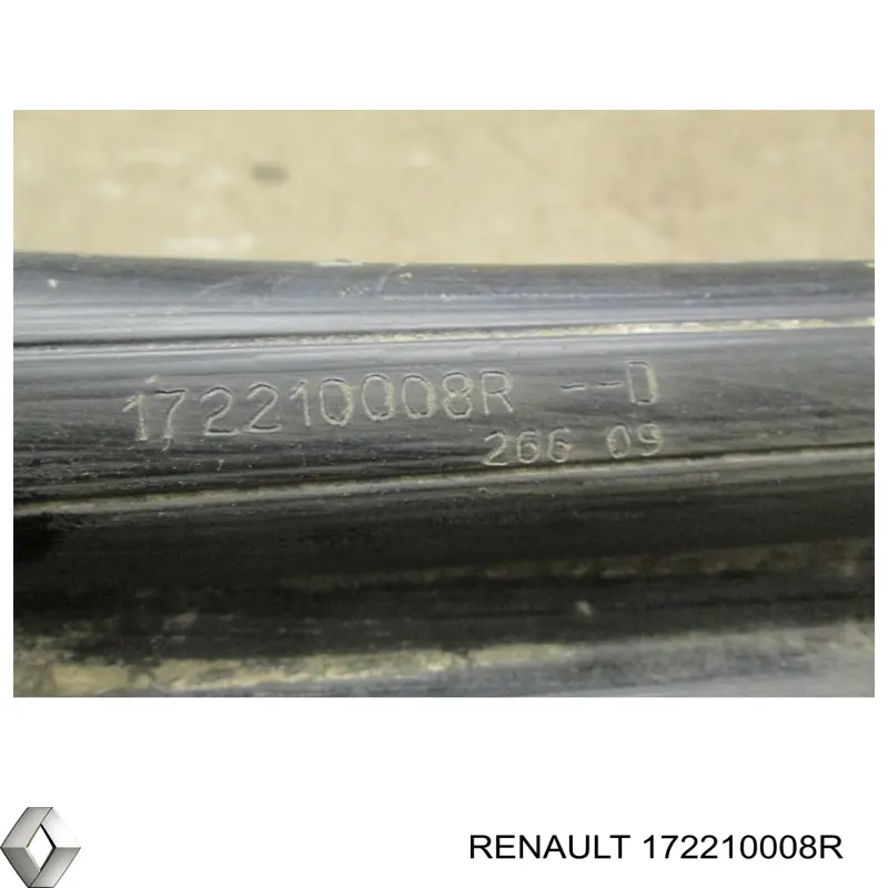 172210008R Renault (RVI)