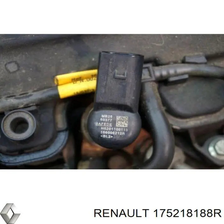 Rampa de combustible 175218188R Renault (RVI)