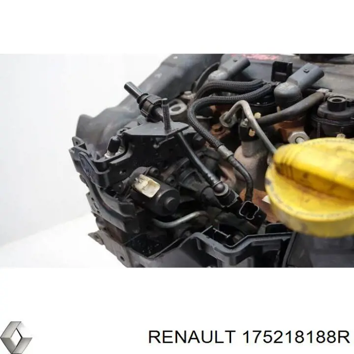 Rampa De Inyección Combustible Renault (RVI) 175218188R