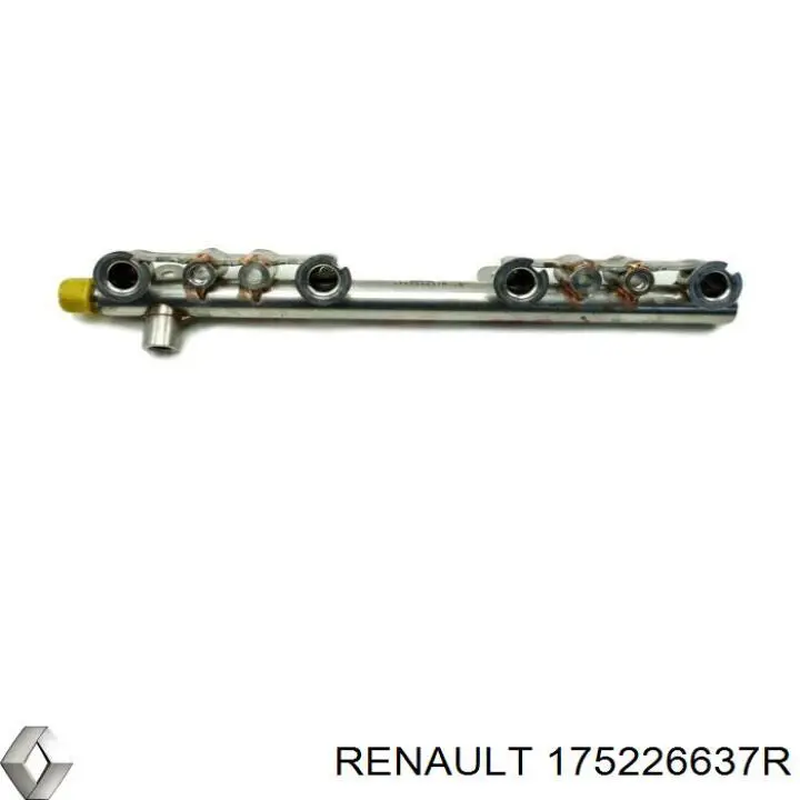 Rampa de combustible Renault (RVI) 175226637R precio, desde 103,09 EUR