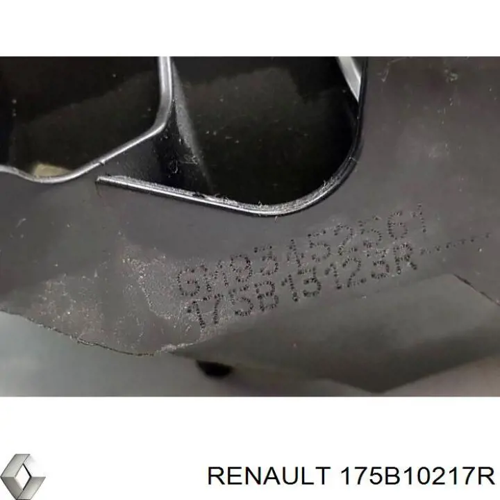  Renault (RVI) 175B10217R precio, desde 75,50 EUR