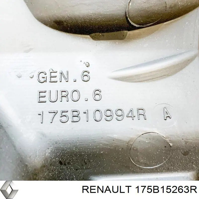 175B15263R Renault (RVI) cubierta de motor decorativa