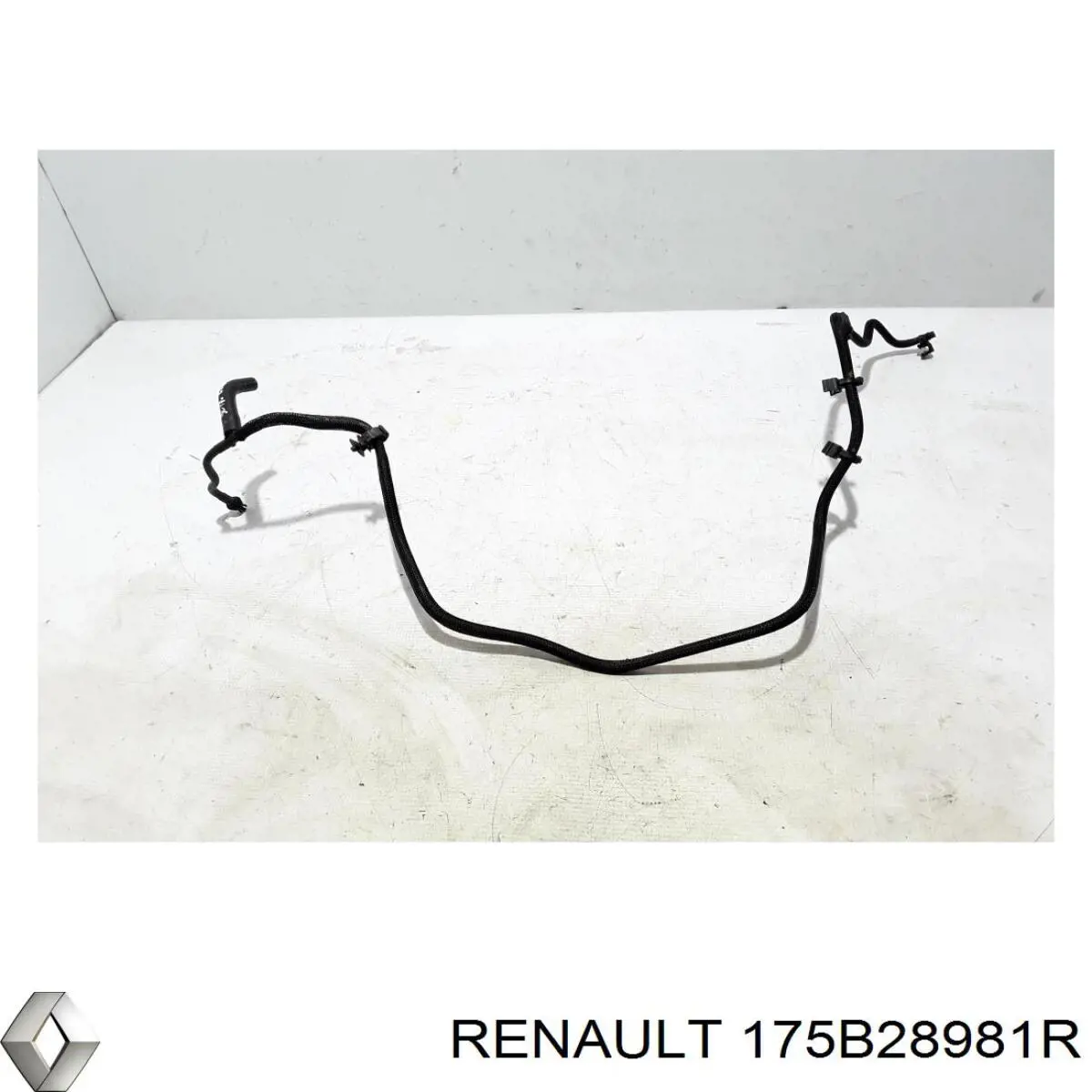 175B28981R Renault (RVI)