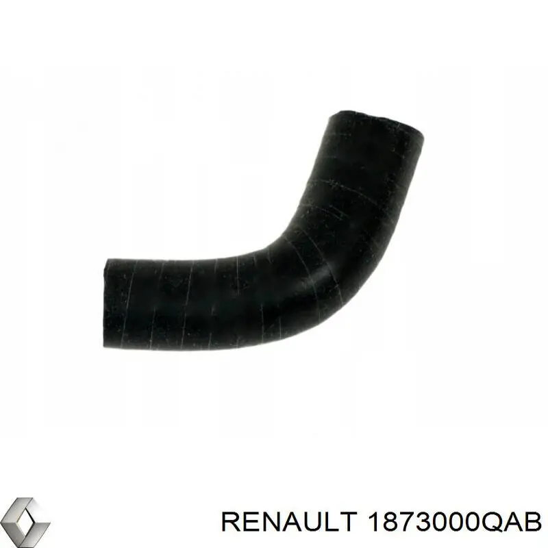 Comprar 1873000QAB Renault (RVI) Sistema de ventilación del cárter